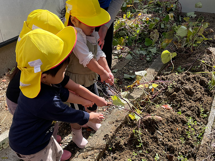 10月の行事の写真